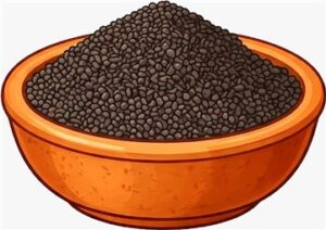 Dog mustard seed (Erucastrum Gallicum)